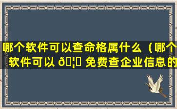 哪个软件可以查命格属什么（哪个软件可以 🦊 免费查企业信息的）